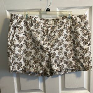 Loft shorts